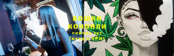 эйфоретик Дмитров