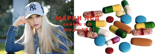 spice Дмитриев