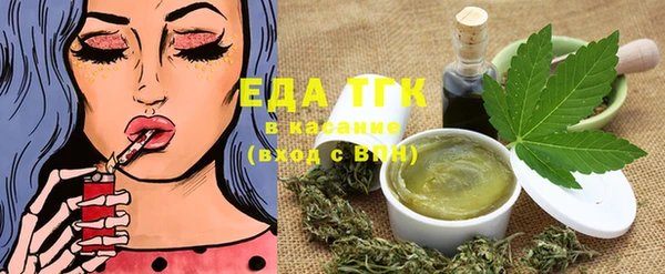 spice Дмитриев