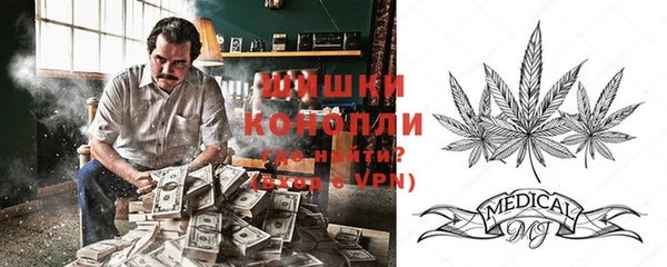 эйфоретик Дмитров