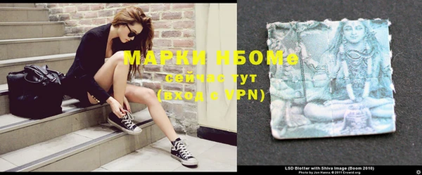 spice Дмитриев