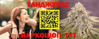 ECSTASY Камышлов