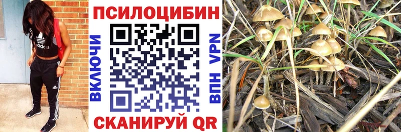 Псилоцибиновые грибы ЛСД  ссылка на мегу сайт  Сердобск 