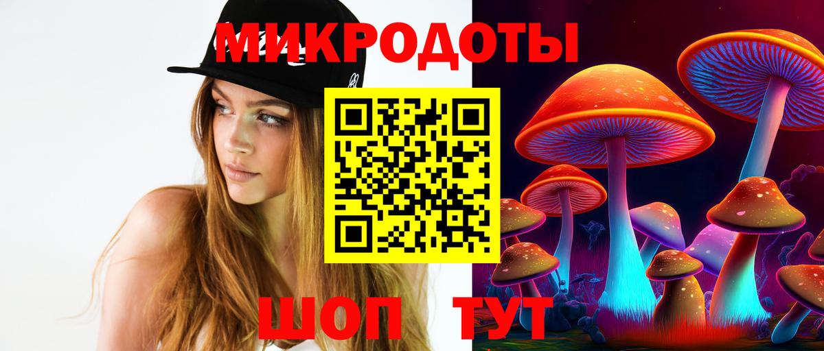 Сердобск  Псилоцибиновые грибы мицелий  Вход с VPN  закладка  Галлюциногенные грибы мухоморы 