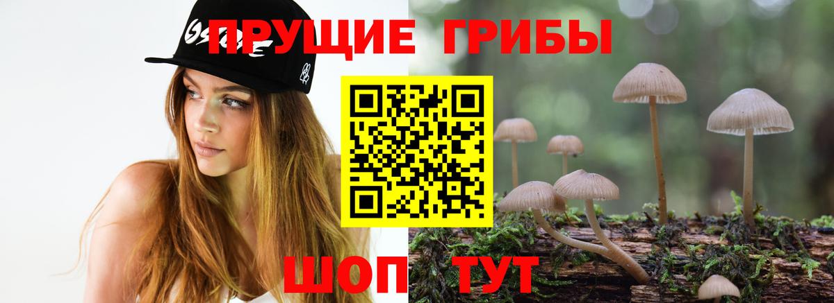 Галлюциногенные грибы Cubensis Сердобск