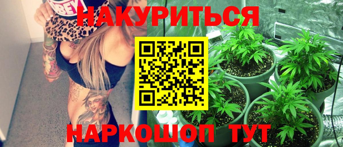 Конопля гибрид Сердобск